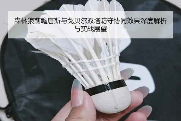 森林狼前瞻唐斯与戈贝尔双塔防守协同效果深度解析与实战展望
